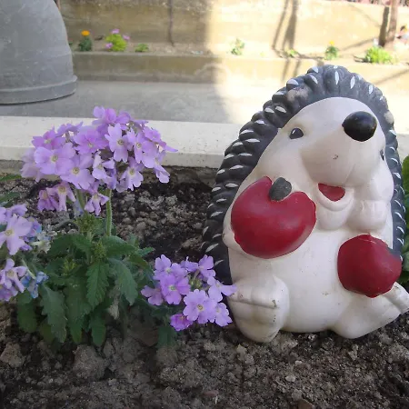 Kasalo בית הארחה 3*